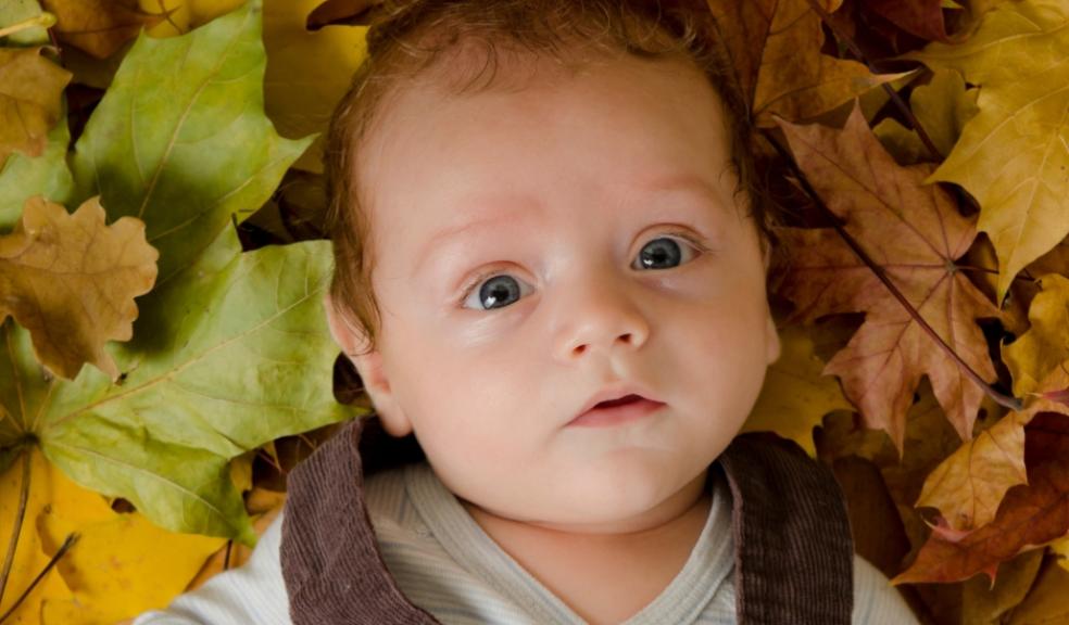 picture of a baby laying in Autumn leaves