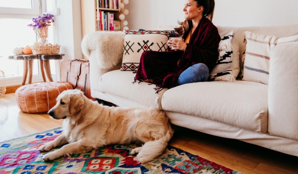 picture of a woman relaxing on a sofa with her golden retriever dog