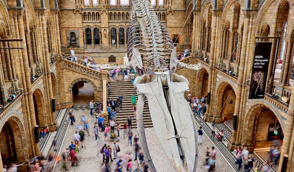 picture of the Hintze Hall at The Natural History Museum