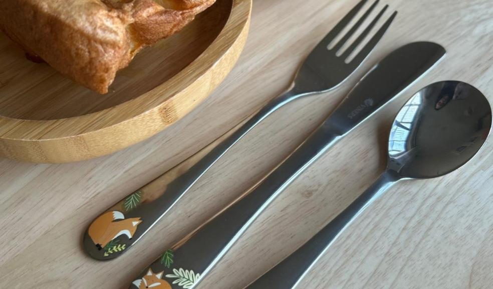 picture of Viners Fox 3 Piece Kids Cutlery Set