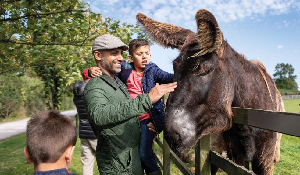 picture of Visitors at The Donkey Sanctuary in Sidmouth