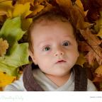 picture of a baby laying in Autumn leaves