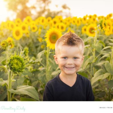 picture of a child in a field of sunflowers