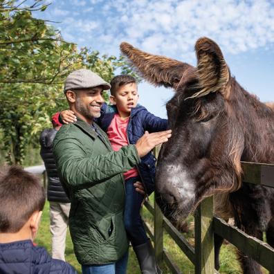 picture of Visitors at The Donkey Sanctuary in Sidmouth